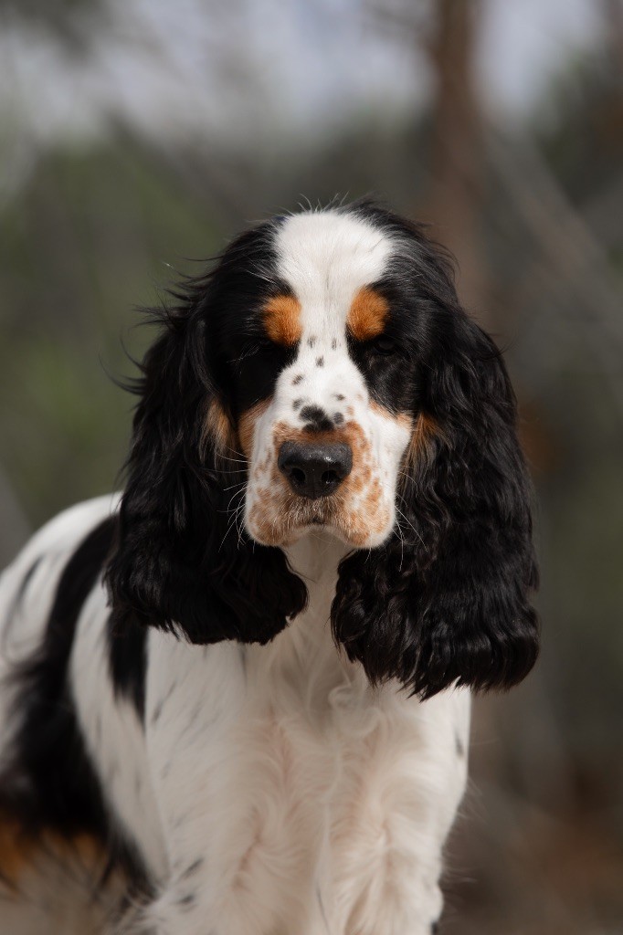 Vegas des terres de bourguenailles