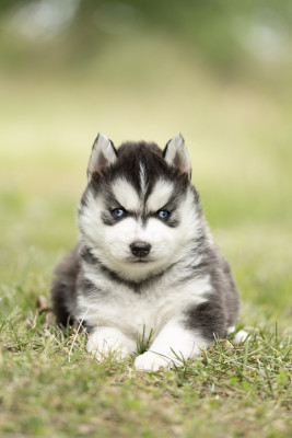 BEAUTIFUL POKER FACE