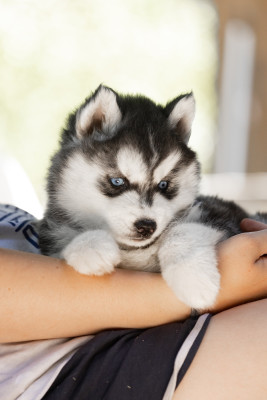 BEAUTIFUL POKER FACE
